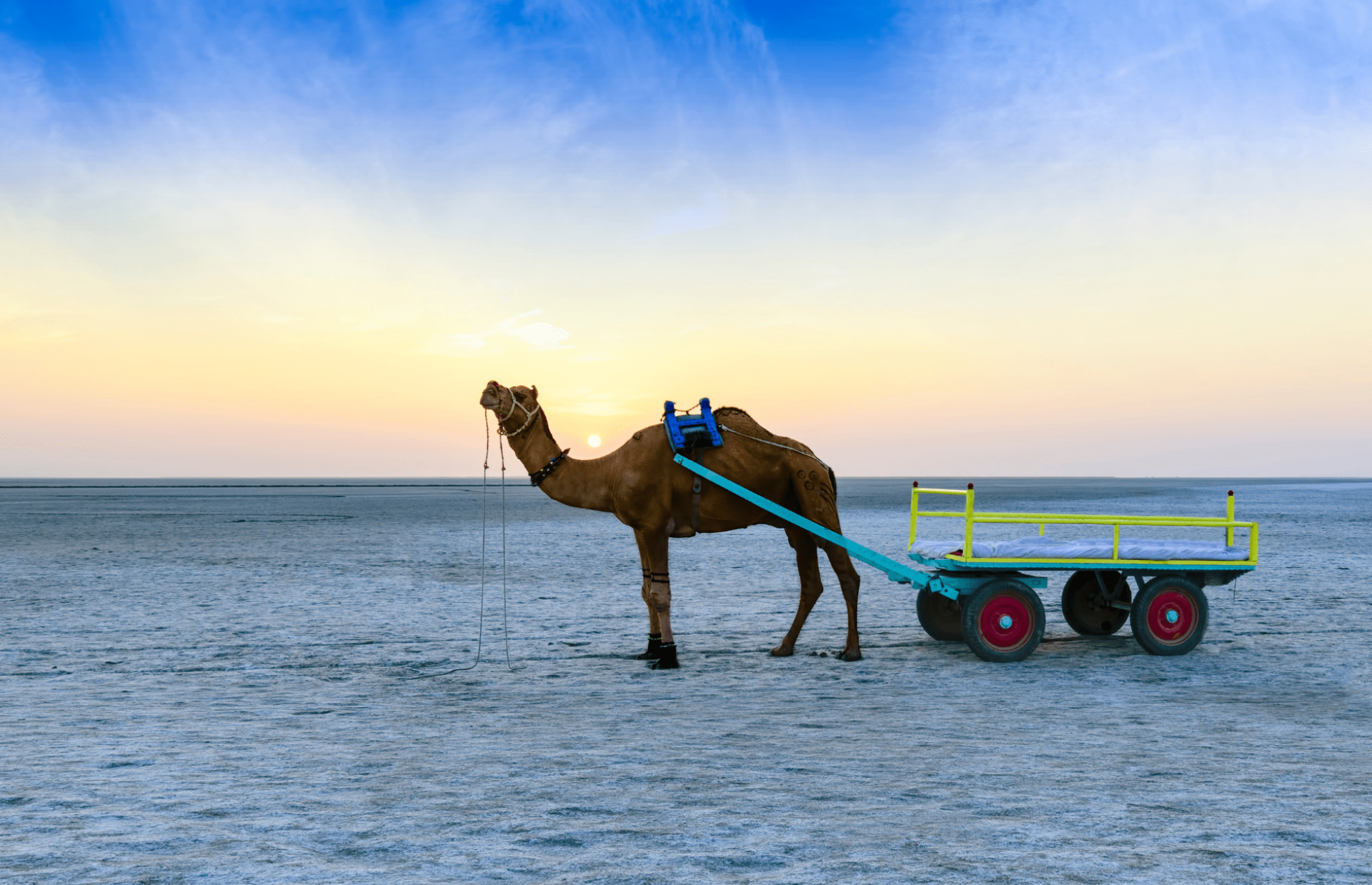 Rann of Kutch
